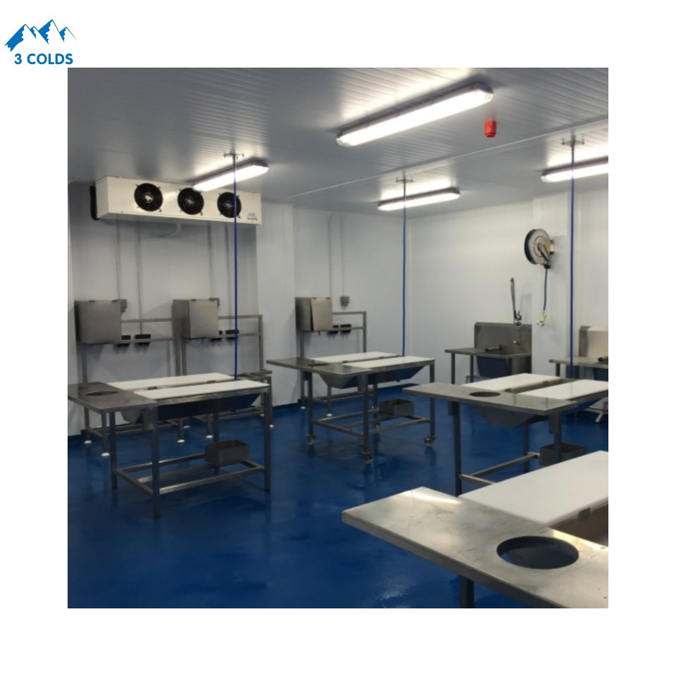 -18℃ Seafood Products Cold Storage for Fish Factory with Stainless Steel PU Panels