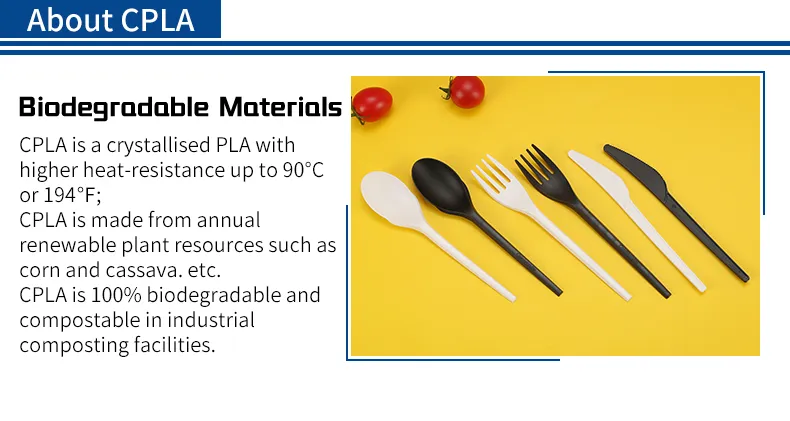 Disposable Cutlery 2