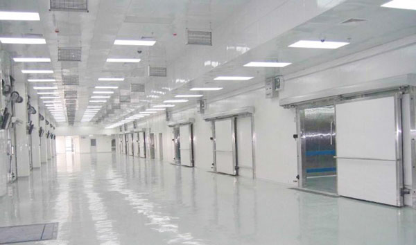 Xingx Industrial Cold Room Storage Walk in Cooler &amp; Freezer for Meat / Fish / Seafood / Vegetables / Fruits / Drinks