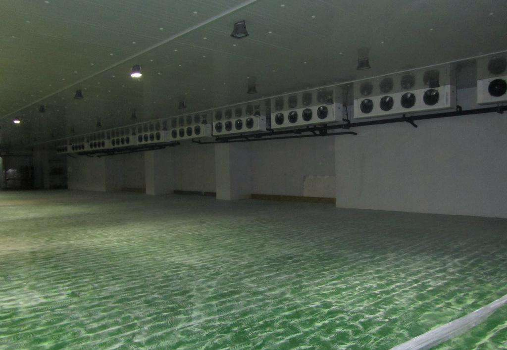 Cold Room Cold Storage for Fish and Seafood Storage