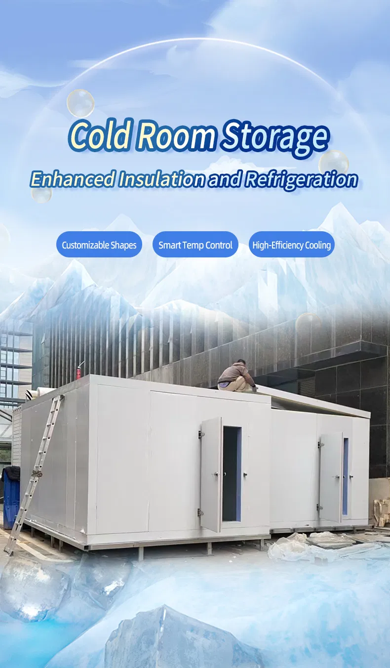 Commercial Cold Room Storage