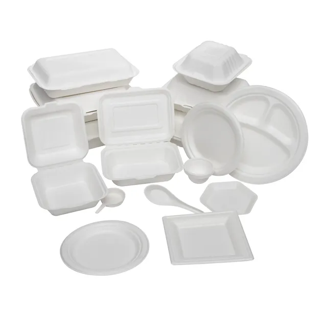 Sugarcane Tableware 1