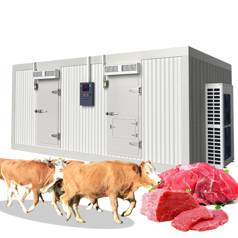 Commercial Deep Freezer Vegetable/Food/Fish/Meat/Vaccine/ Industrial Walk in Solar Cold Room Storage