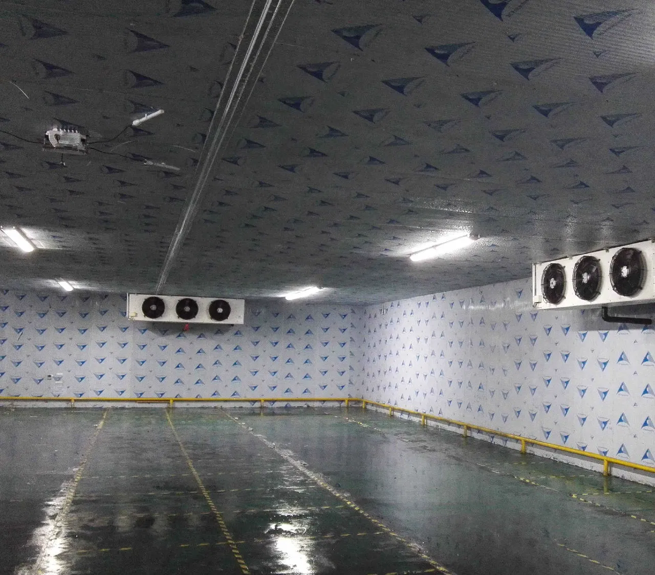 Xingx Industrial Cold Room Storage Walk in Cooler &amp; Freezer for Meat / Fish / Seafood / Vegetables / Fruits / Drinks