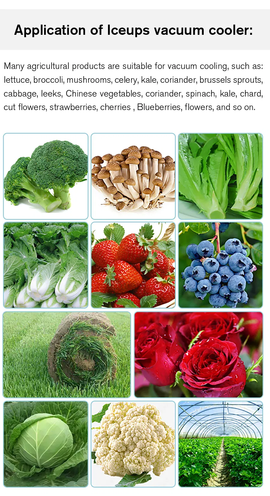 Cooling System Detail