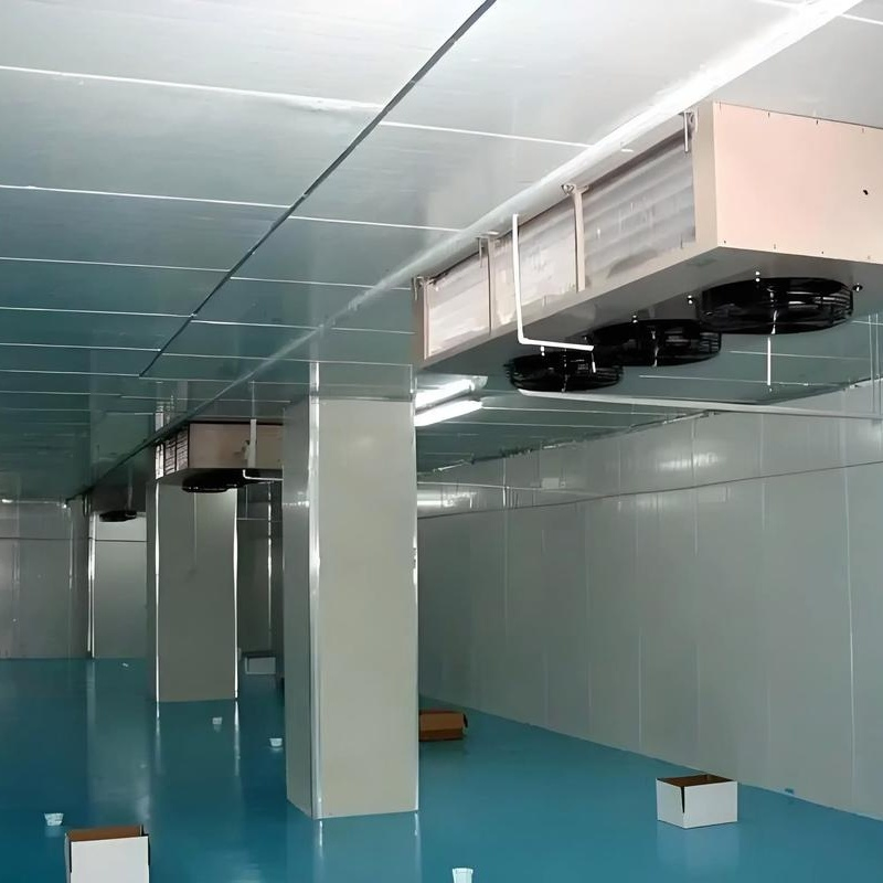 Walk-in Cold Storage for Food Preservation