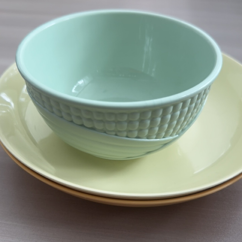 Biodegradable and Environmentally Friendly Household Tableware Set