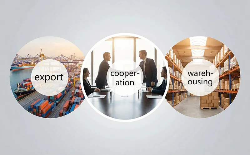 Custom Logo Option 2