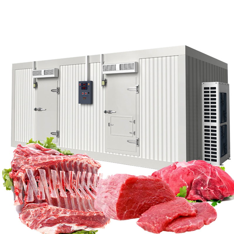 Commercial Deep Freezer Vegetable/Food/Fish/Meat/Vaccine/ Industrial Walk in Solar Cold Room Storage