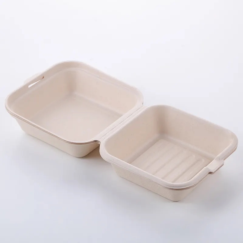 Hot Sale Biodegradable Sugarcane Bagasse Clamshell Take Away Disposable Food Container Tableware