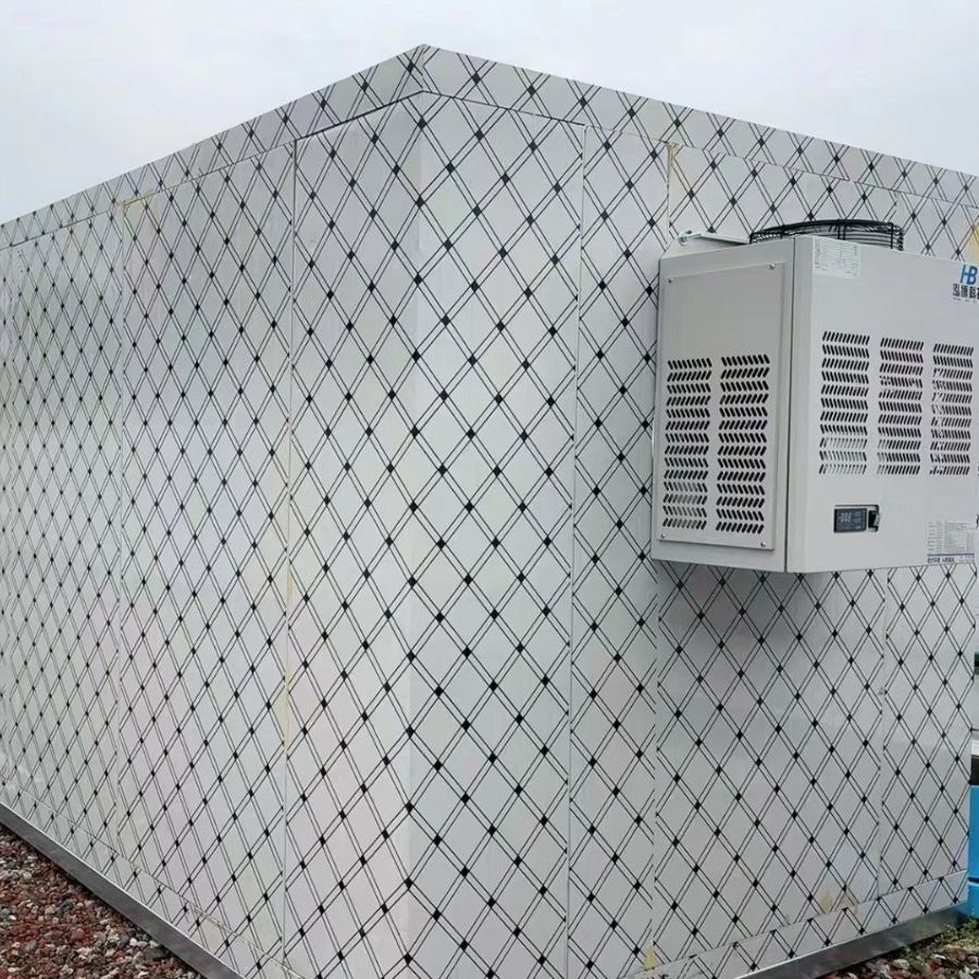 Premium Cold Storage Solutions for Fresh Food Preservation Refrigeration Equipment Cold Room