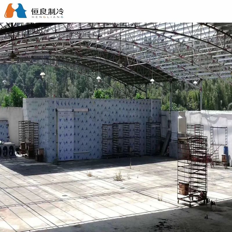 High-Quality Cold Storage for The Storage of Frozen Meat and Seafood