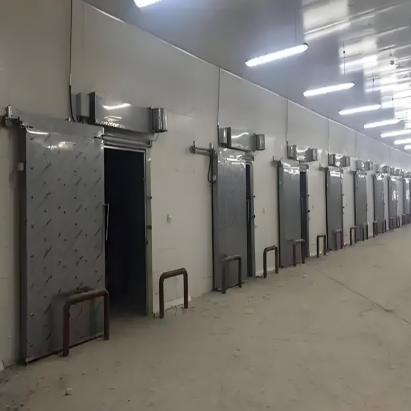 Large Customizable Food Cold Storage