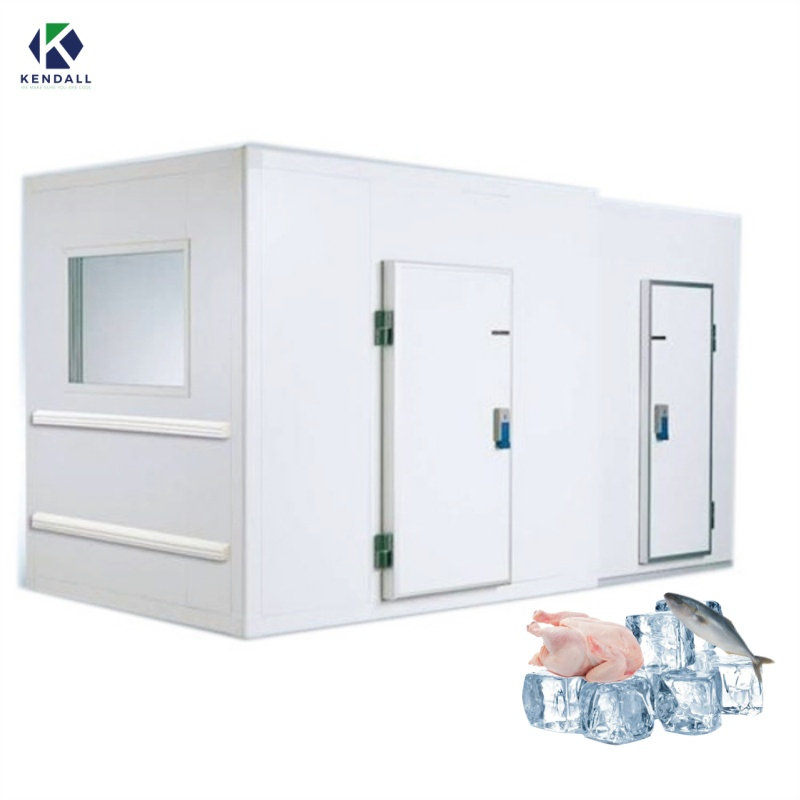 Cold Storage Coldroom Chambre Froide Seafood Freezer Chamber for Ice Cream