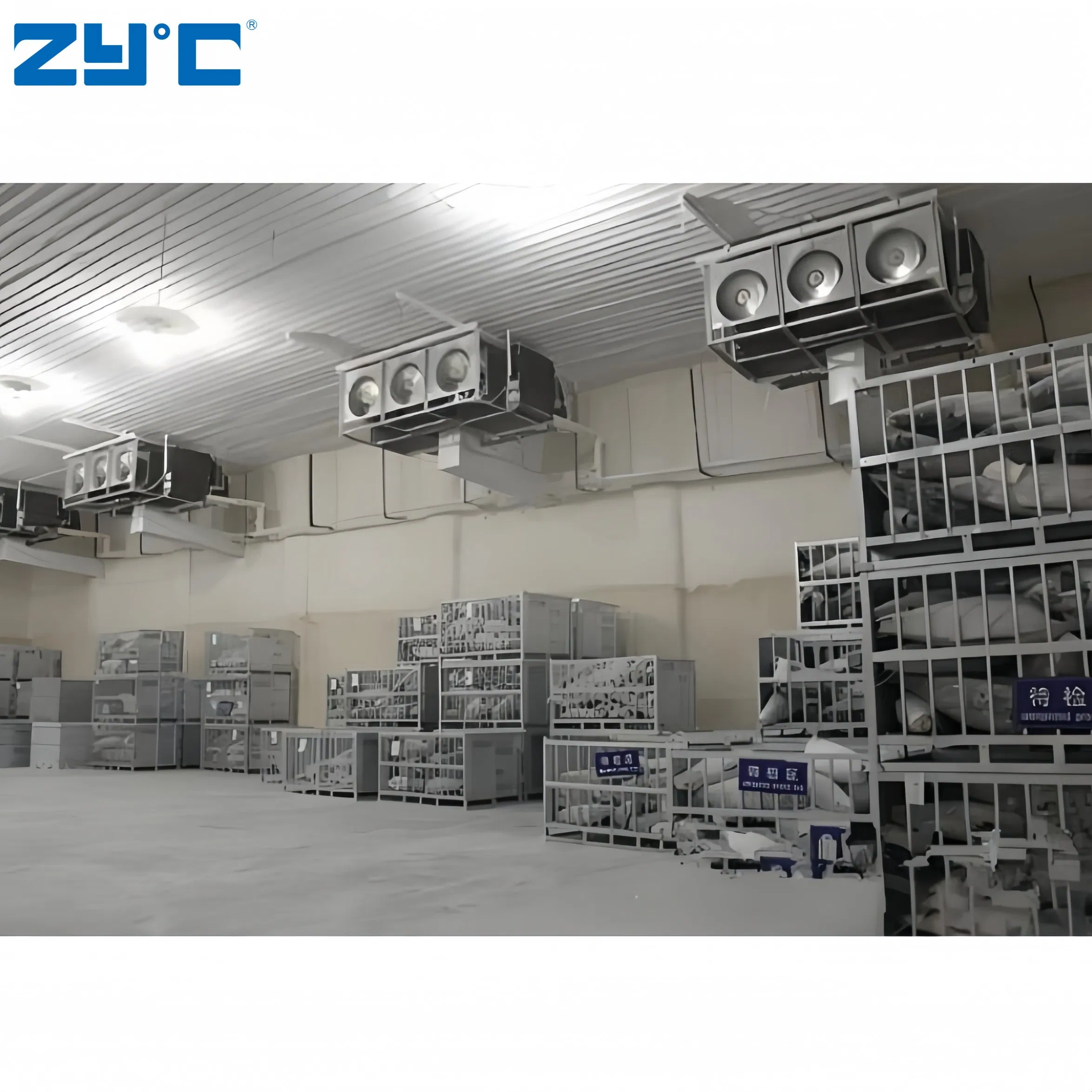 Specialized Walk-in Cold Room Custom Food Storage Temperature Control Cold Storage