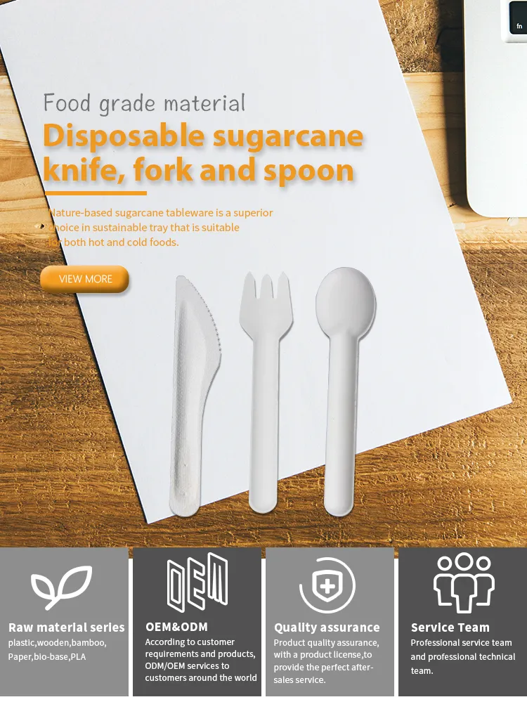 Disposable Sugarcane Cutlery