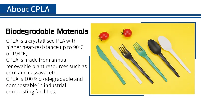 Disposable Utensil 2