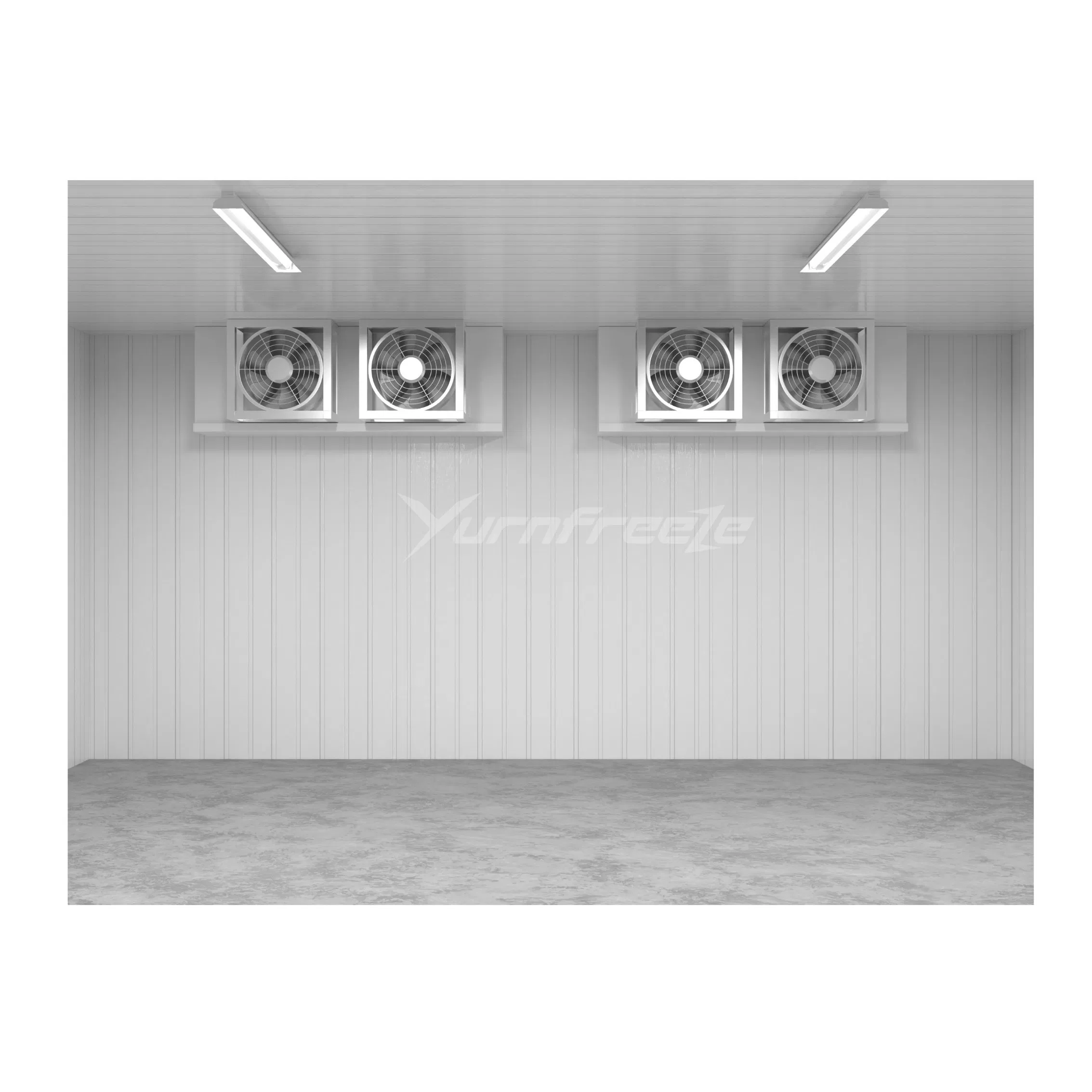 Turnkey Project Cold Room Cold Storage for Food Processing Factory Freezing Preservation Meat Seafood Poultry Dairy Products Prepared Dishes China Manufacturer