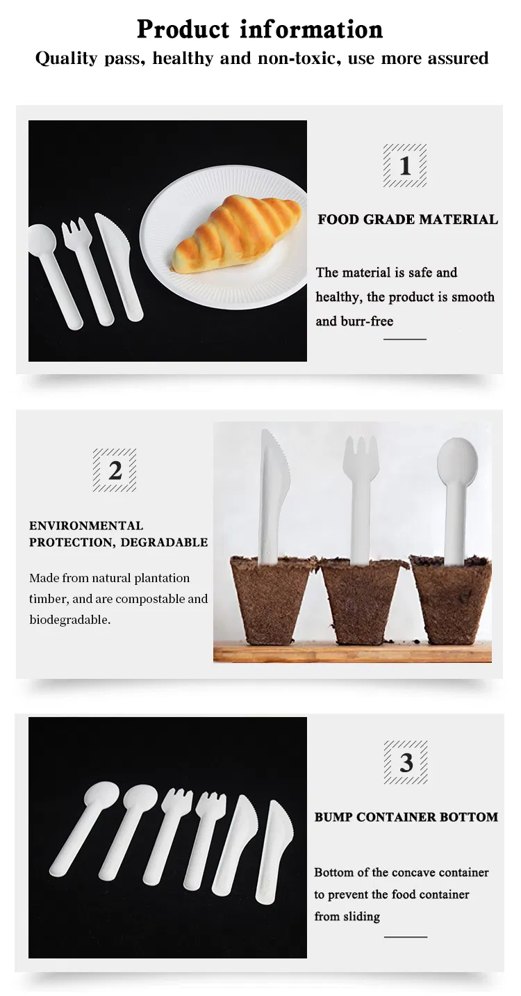 Sugarcane Cutlery Detail