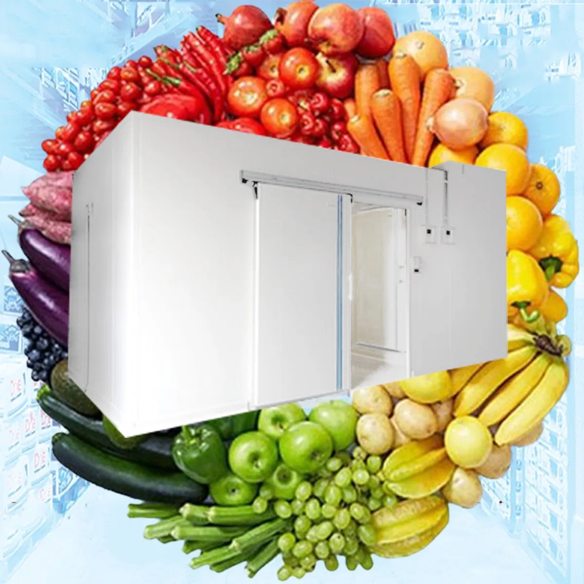 Commercial Deep Freezer Vegetable/Food/Fish/Meat/Vaccine/ Industrial Walk in Solar Cold Room Storage