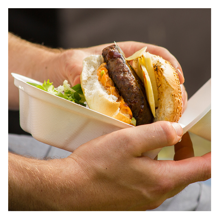 Hot Sale Biodegradable Sugarcane Bagasse Clamshell Take Away Disposable Food Container Tableware