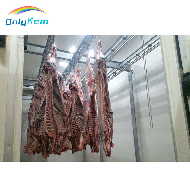 Prefabricated Warehouse Blast Freezer Seafood Meat Vegetable Cold Storage 20FT and 40FT Used Reefer Container
