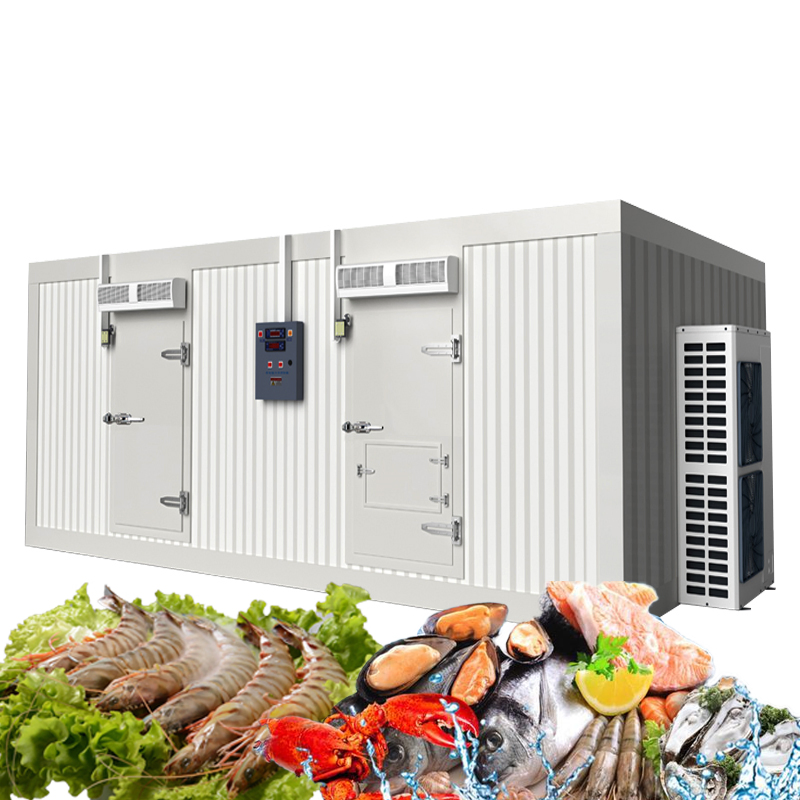 Commercial Deep Freezer Vegetable/Food/Fish/Meat/Vaccine/ Industrial Walk in Solar Cold Room Storage
