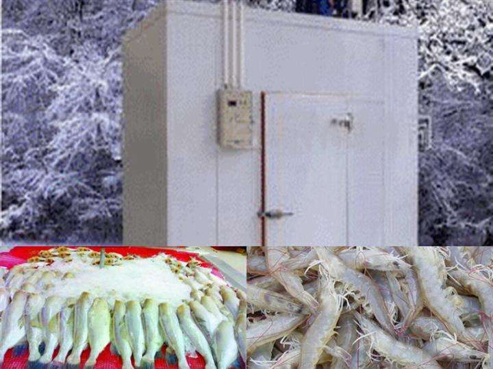 Cold Room Cold Storage for Fish and Seafood Storage