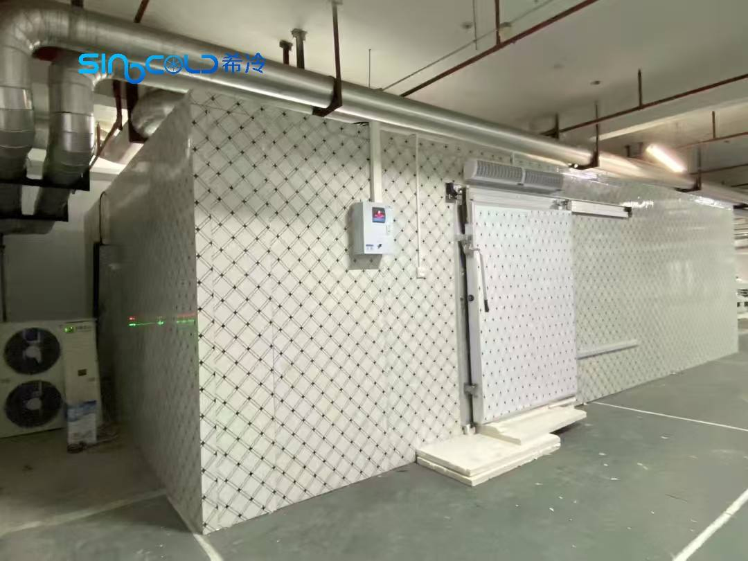 High Quality Custom Cold Storage Rooms Small Medium Large Sizes for Meat, Seafood, Fruits and Vegetables