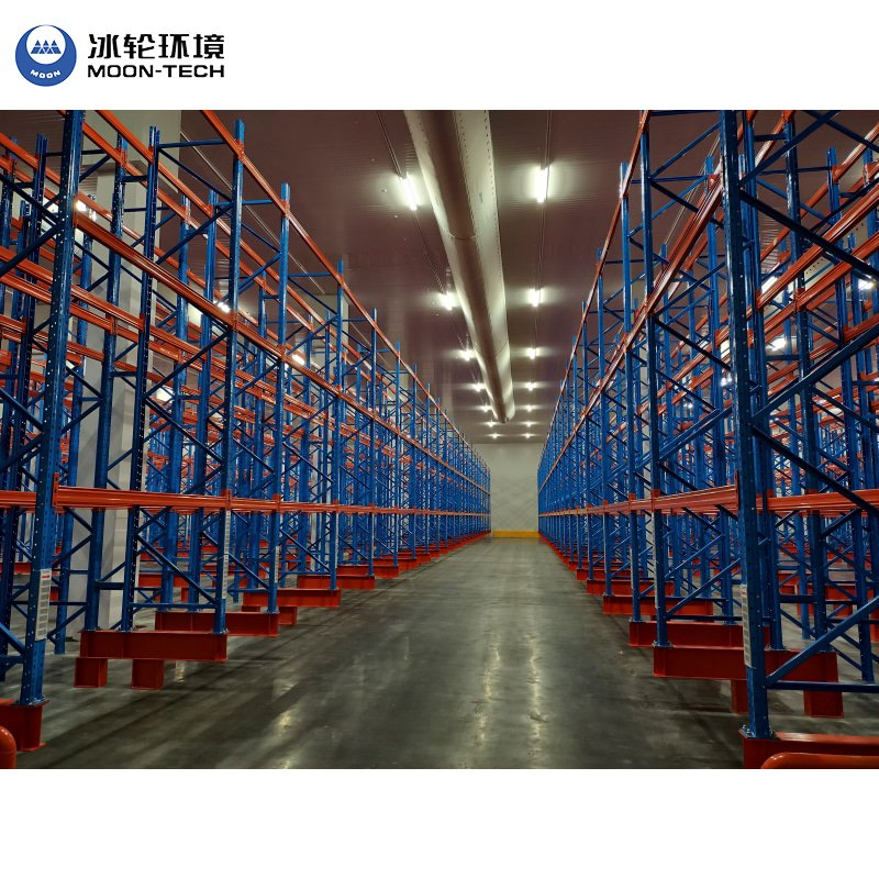 Large Industrial Cold Chain Logistics Fish Vegetable Fruit Seafood Onion Freezer Cold Room Storage Walk in Freezer/Cold Storage Price