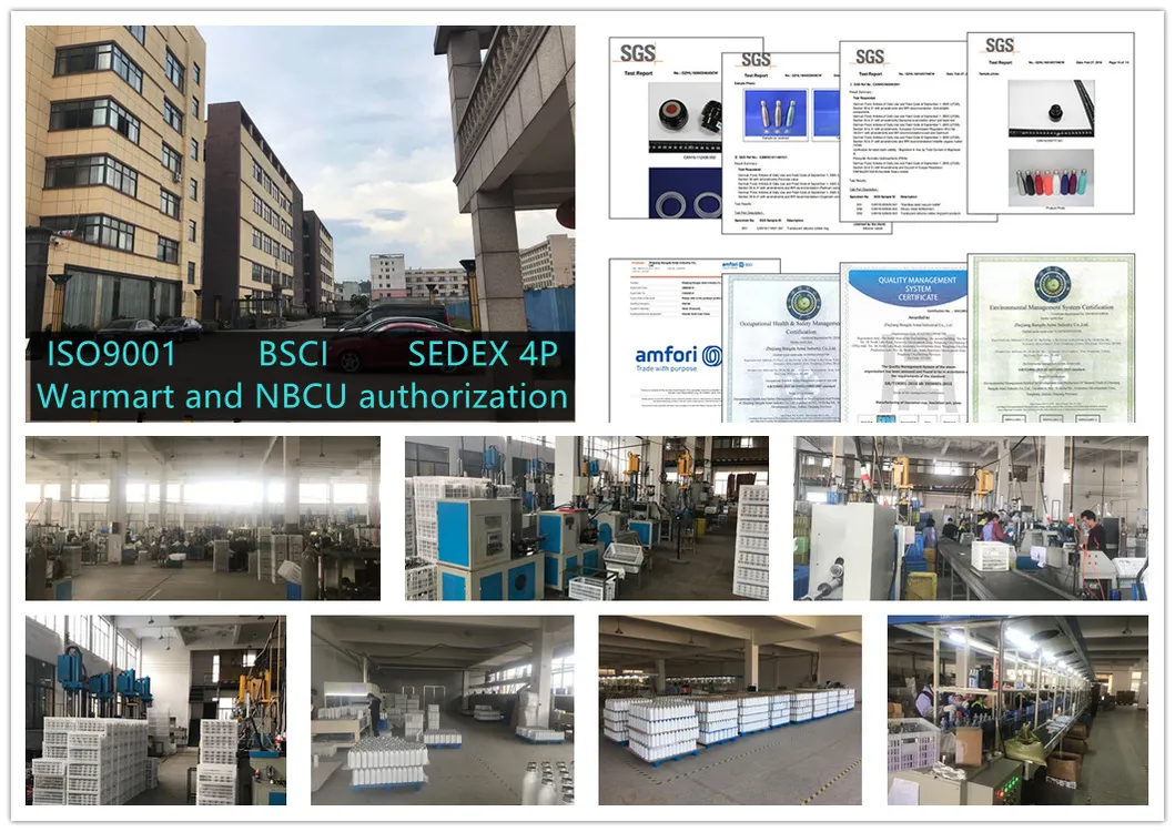 Company Profile View