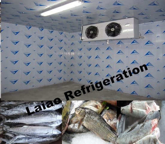 Cold Room Cold Storage for Fish and Seafood Storage