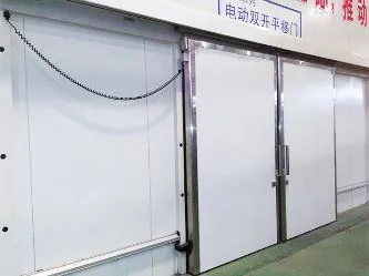 Electric Sliding Door