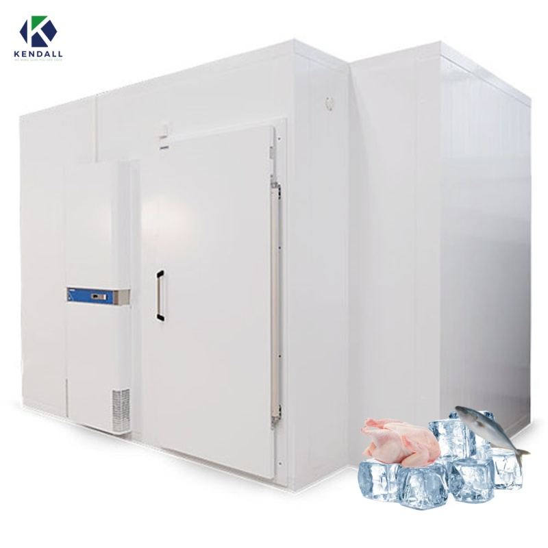 Cold Storage Coldroom Chambre Froide Seafood Freezer Chamber for Ice Cream