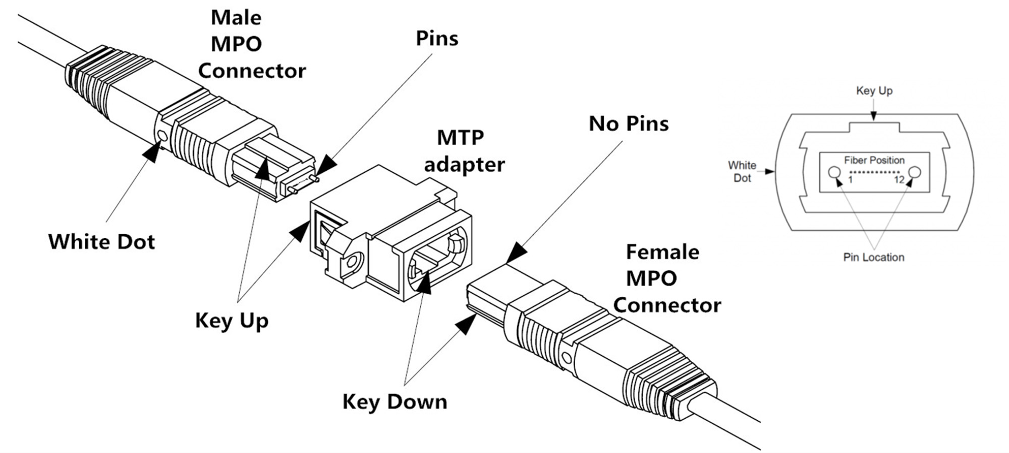 MTP MPO Fiber Cable Detail