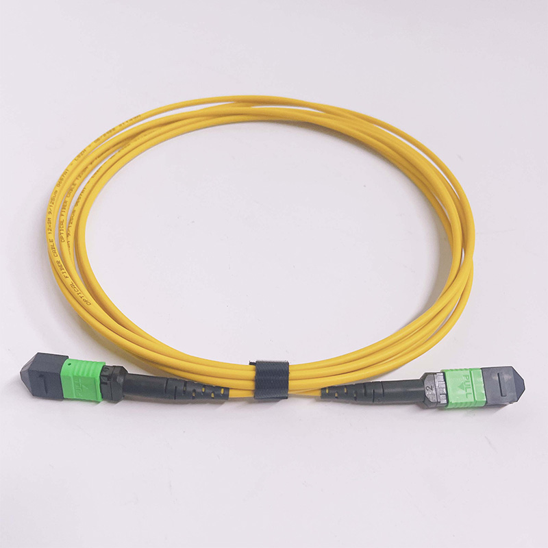 OEM MTP/MPO Single Mode Fiber Optic Patch Cable Factory, Products