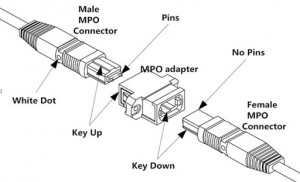 MPO connector and adapter