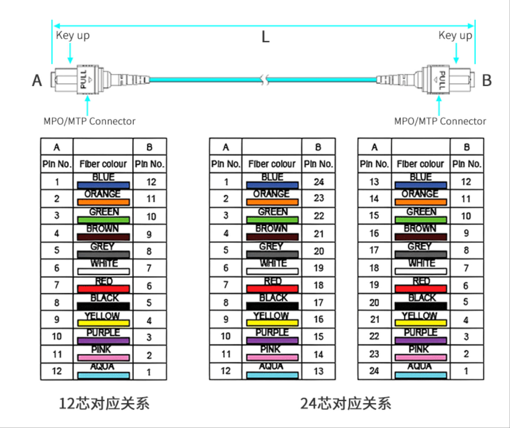 MPO type B