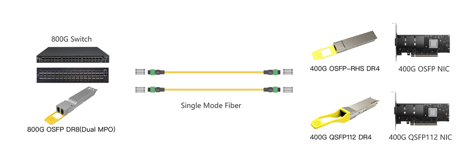 OSFP-800G-DR8 Optical Port Details