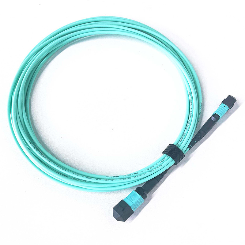 ODM MTP/MPO OM3 Fiber Optic Patch Cable Pricelist, Product