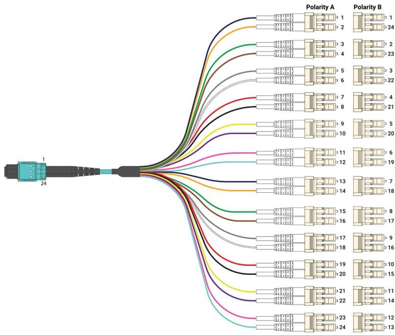 MPO-LC / MTP-LC Patch Cord Diagrams