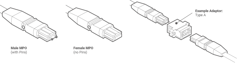 mpo-mtp-blog-02