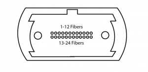 MPO Connector