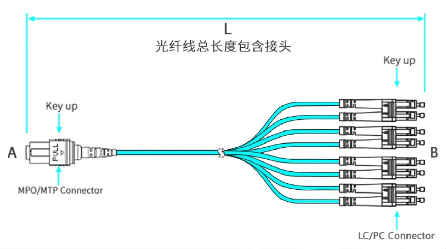 MTP MPO Connector Overview