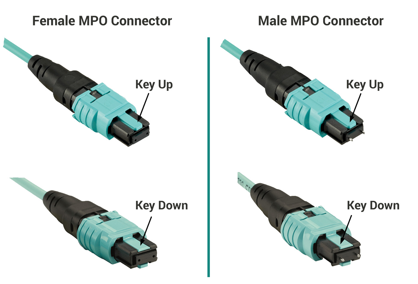 MTP MPO Patch Cable Image 3