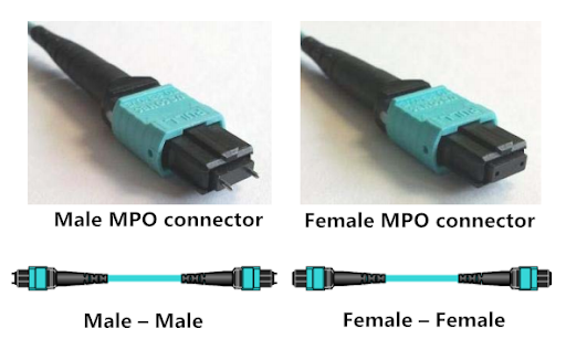 MTP MPO Trunk Cable Details