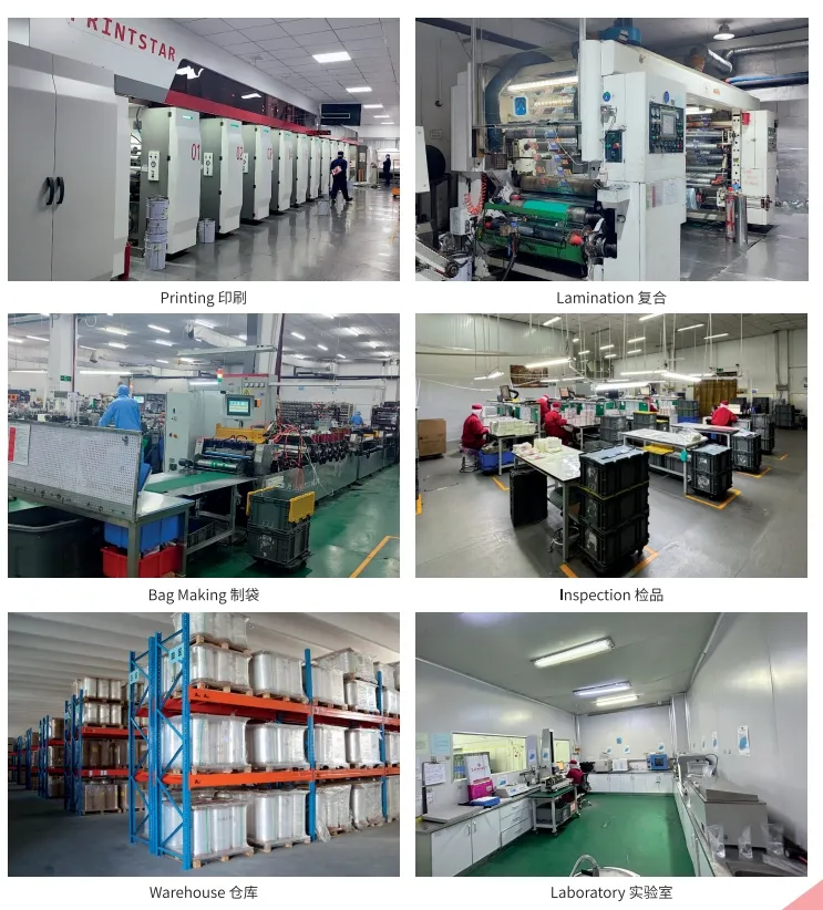 Company overview