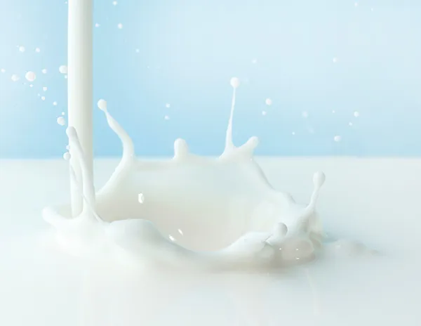 صورة تفصيلية 1