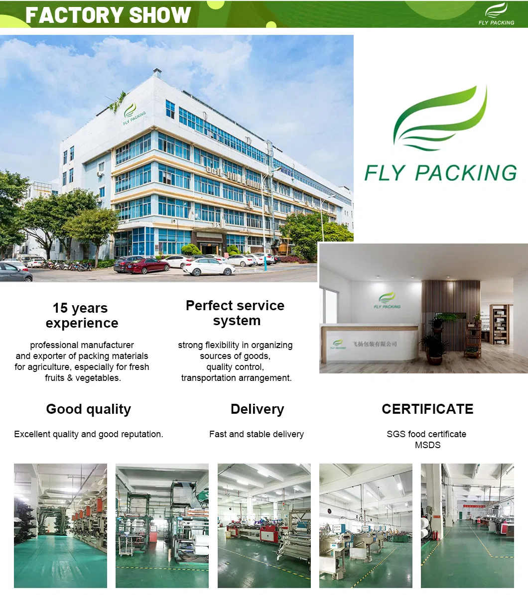Company Profile