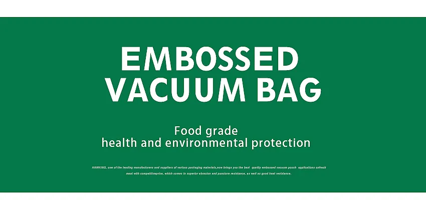 Vacuum bag 1